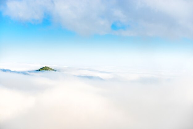 Groene bergtop in de oceaan van wolken