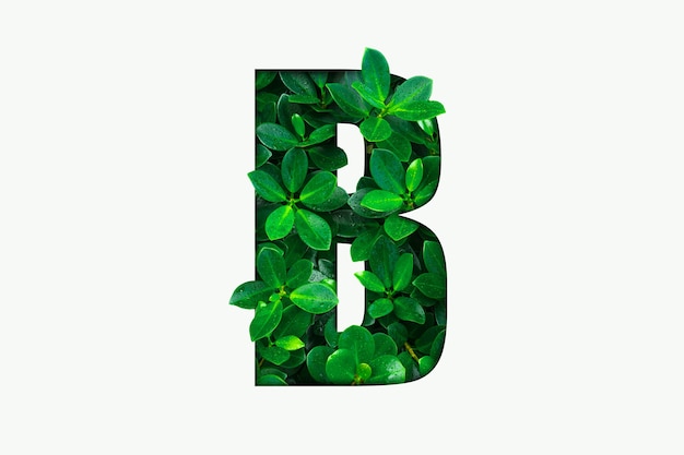 Foto groene bladeren alfabet