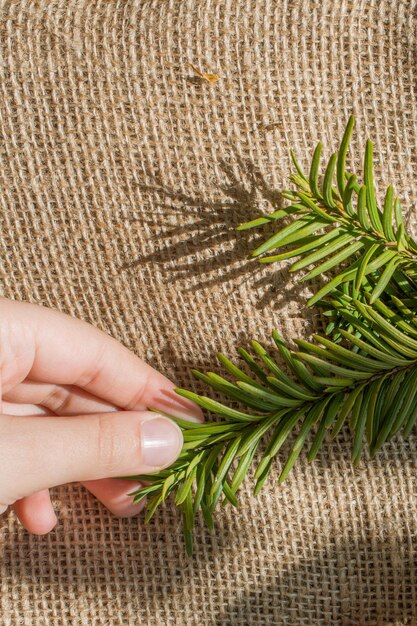 Groene bladeren in de hand op doek