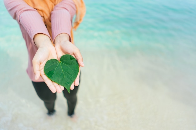 Groene bladeren met het turquoise oceaanwater.