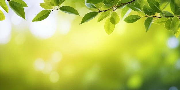 Groene bladeren op een boomtak