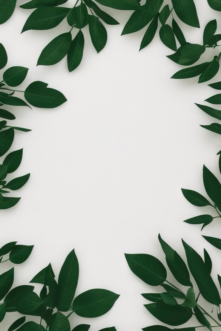 Foto groene bladeren op een witte achtergrond natuurlijke organische schoonheidsproducten medicinaal