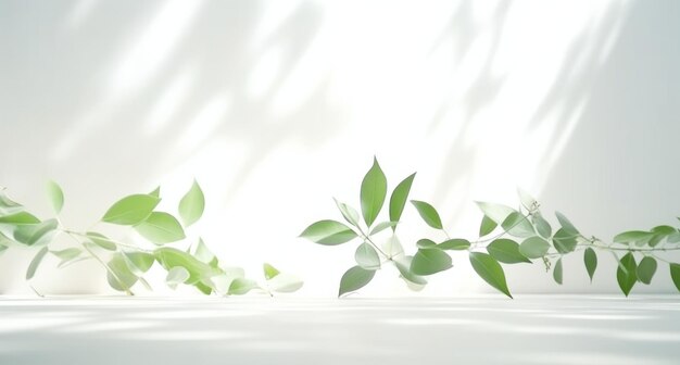 groene bladeren op witte achtergrond op een witte tafel