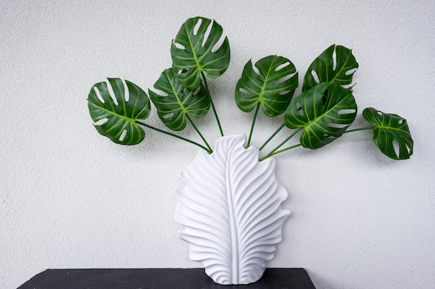 Groene bladeren van monstera plant siert het interieur van een modern appartement