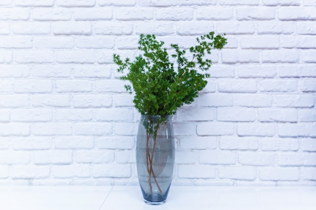 Groene bloem in een transparante vaas op een tafel op de achtergrond van een witte keramische muur. bloem in een vaas tegen een muurachtergrond.