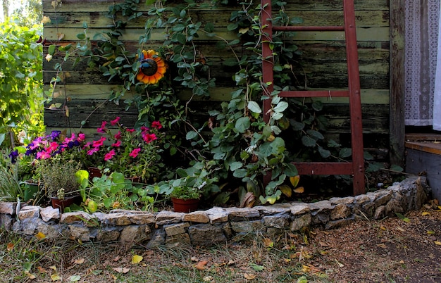 Groene bloemen in de tuin