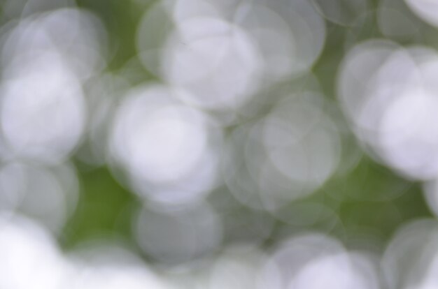 Foto groene bokeh abstracte lichte achtergrond