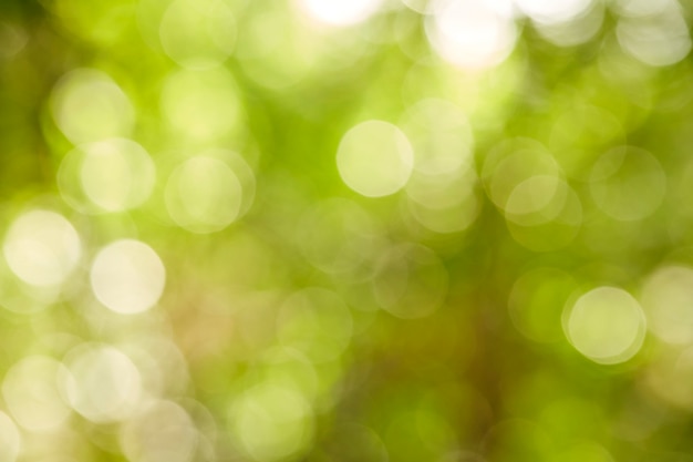 groene bokeh abstracte lichte achtergrond