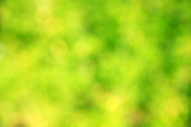 Groene bokeh abstracte lichte achtergrond