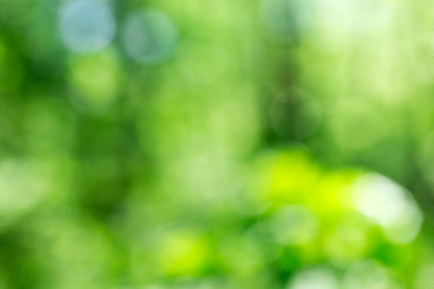 Groene bokeh achtergrond van natuur bos onscherp