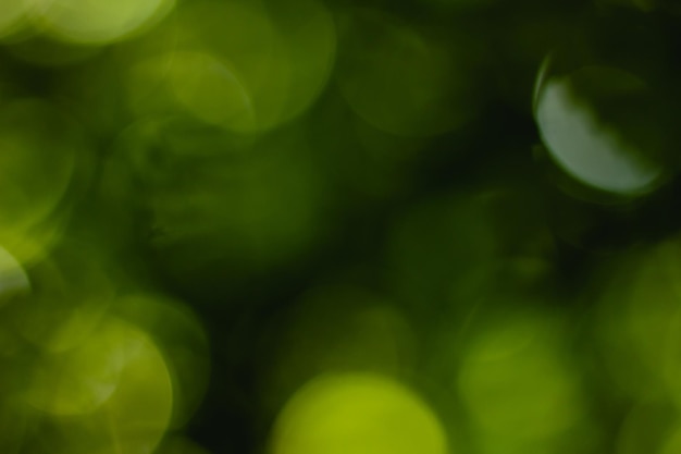 Groene bokeh. Natuur achtergrond. Wazig zomer abstract behang.