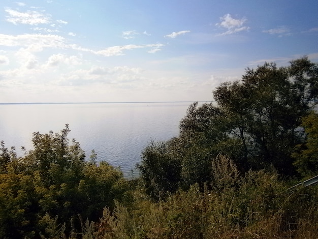 groene bomen aan de oever van de rivier