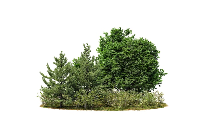 Foto groene bomen geïsoleerd op witte achtergrond bos en gebladerte in de zomer rij van bomen en struiken knipmasker beschikbaar voor compositie 3d-rendering