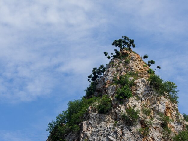 Groene bomen groeien op op grote kalkstenen rotskliffen met blauwe lucht