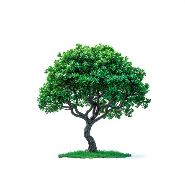 Groene boom met bladeren op witte achtergrond Generatieve AI