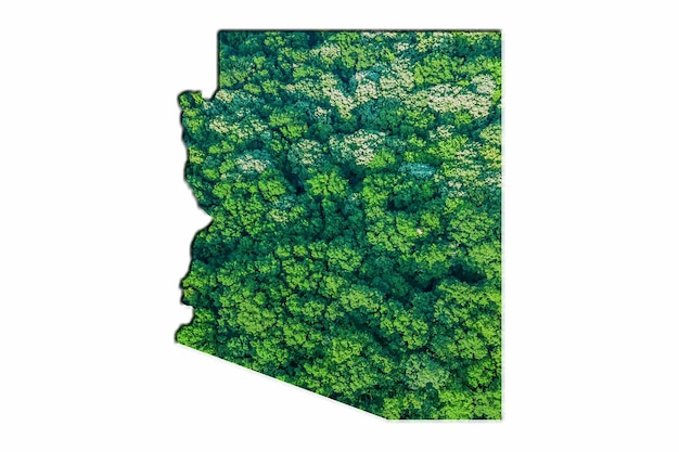 Groene boskaart van Arizona, op witte achtergrond