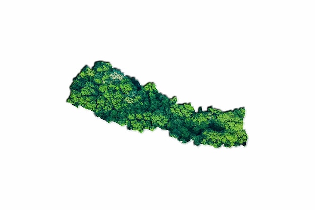 Groene boskaart van Nepal, op witte achtergrond