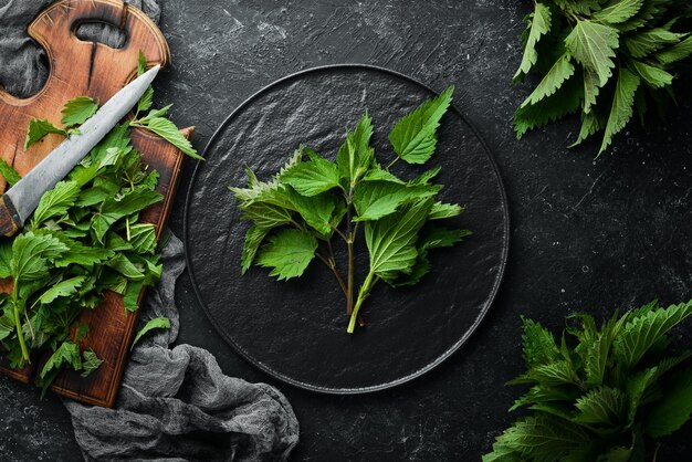 Groene brandnetel gesneden op een zwarte achtergrond Gezonde kruiden Bovenaanzicht