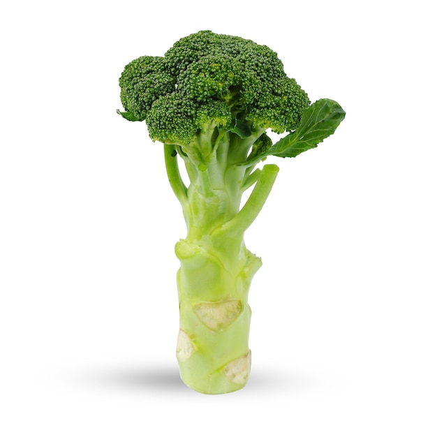 Groene broccoli geïsoleerd op een witte achtergrond