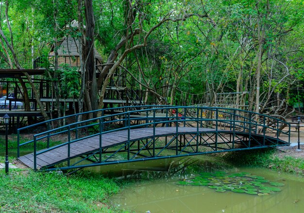 Groene brug in het bos