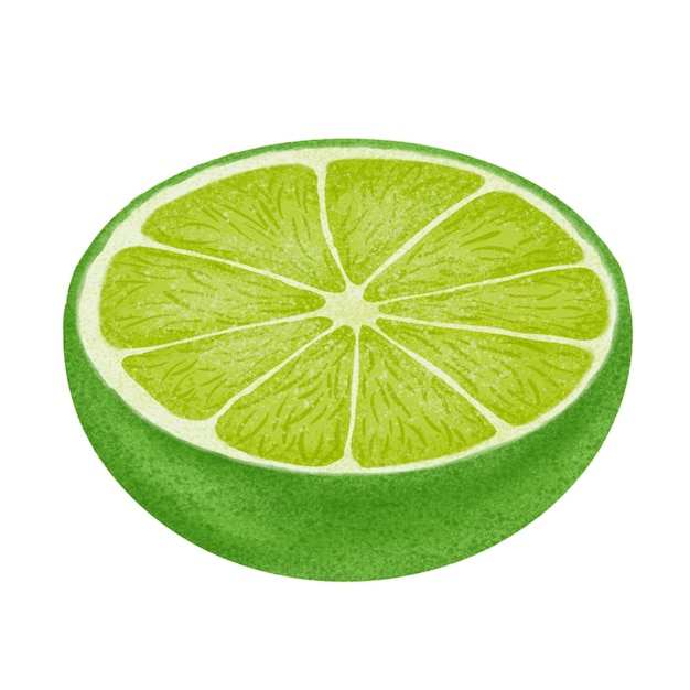 Groene citroen illustratie kleur schilderij
