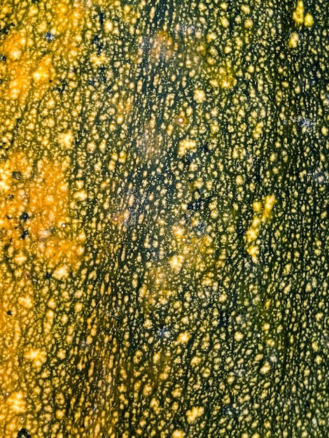 groene courgette textuur close-up