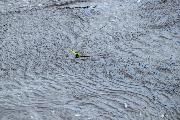 Groene dobber voor het vangen van vis in het water