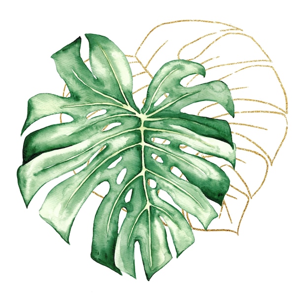 Groene en gouden aquarel tropische monstera bladeren illustratie