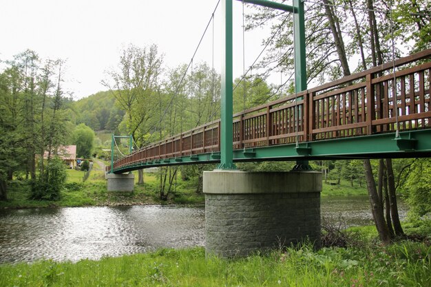 Groene en houten brug