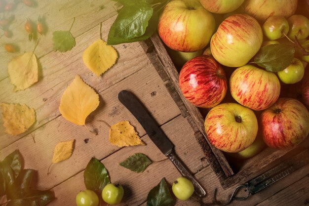 Groene en rode appels op houten tafel. getinte foto