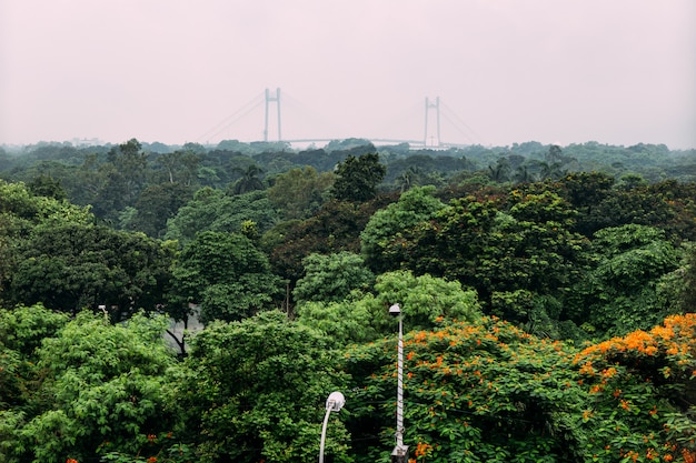 Groene en rode bladbomen in het park van hierboven met Vidyasagar Setu, die ook als de Tweede Hooghly-Brug op de achtergrond in Kolkata, India wordt bekend.