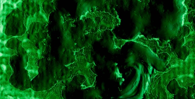 Groene en zwarte achtergrond met een groen patroon en het woord 'groen'
