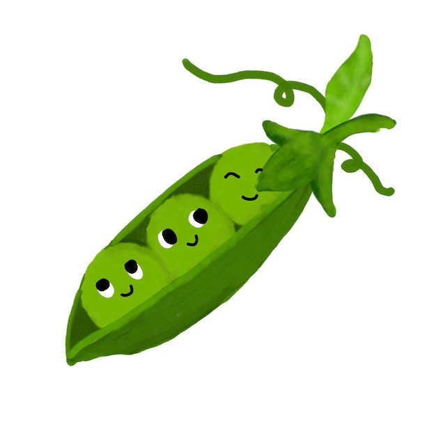 groene erwten waterkleur vector