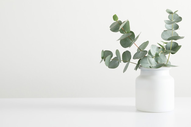 Foto groene eucalyptusbladeren in vaas op witte tafel vooraanzicht