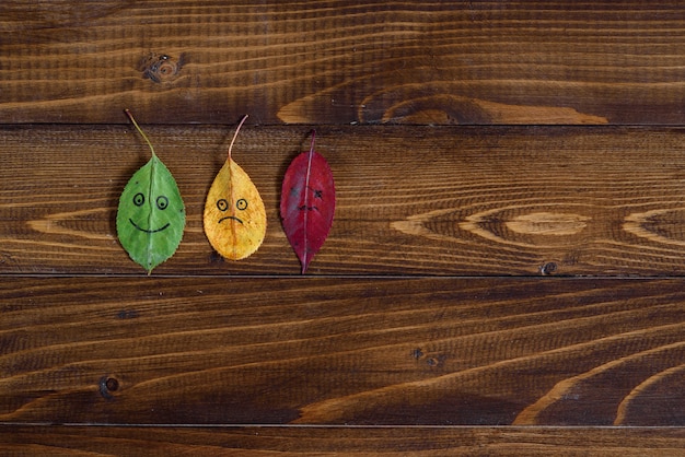 Groene, gele en rode gevallen bladeren met gelukkige en droevige emoji