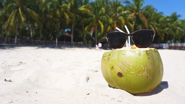 Groene grappige kokosnoot in zonnebril op wit zandstrand, zomer reizen concept achtergrond.