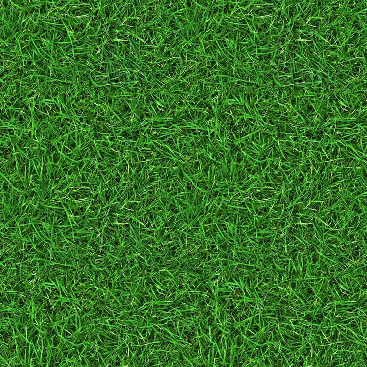 Foto groene gras textuurachtergrond