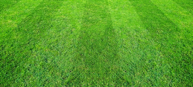 Groene gras veld patroon achtergrond voor voetbal en voetbal sport. Groene gazon textuur achtergrond.