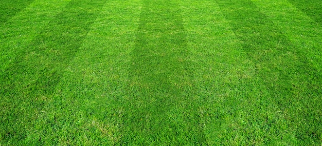 Groene gras veld patroon achtergrond voor voetbal en voetbal sport.