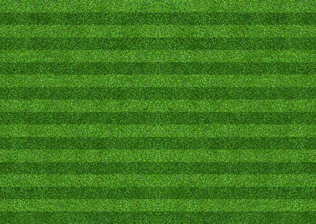 Groene gras veld patroon achtergrond voor voetbal en voetbal.