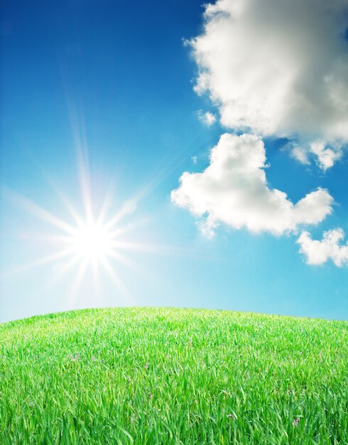Foto groene grasweide en zonlichthemel