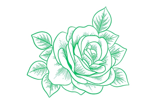 Groene handgetekende roos met bladerenbloem in de hand getekende illustratie 7