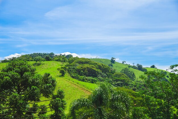 Groene heuvel zonnige dag en blauwe hemel in Brazilië