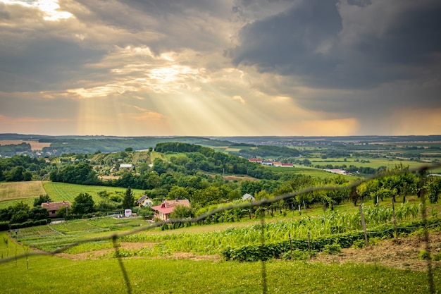 Groene heuvels in de regenachtige zonsondergang in Hongarije