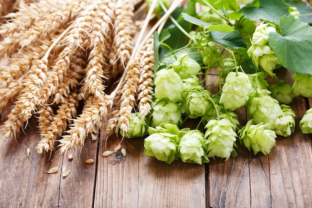 Groene hop en tarweoren op houten tafel, bovenaanzicht