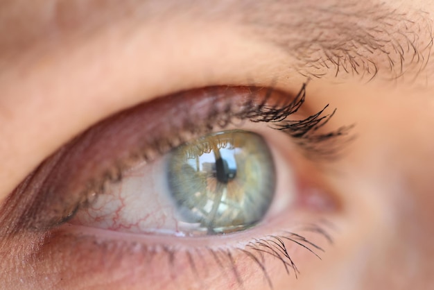 Groene iris geschoten met reflectie vanuit het raam