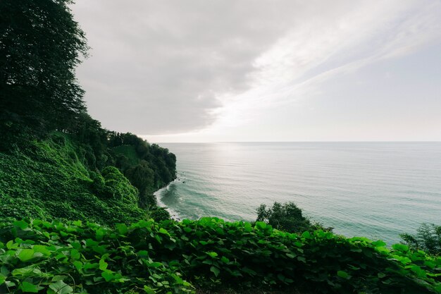 Groene kaap, Georgië. prachtige kust van de Zwarte Zee