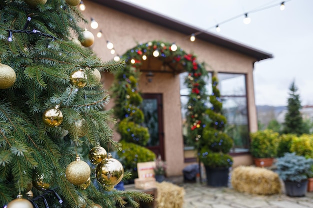 Groene kerstbomen op straat bij het huis Feestelijk versierde tuin voor het nieuwe jaar Kerstversiering van de gevel van het huis