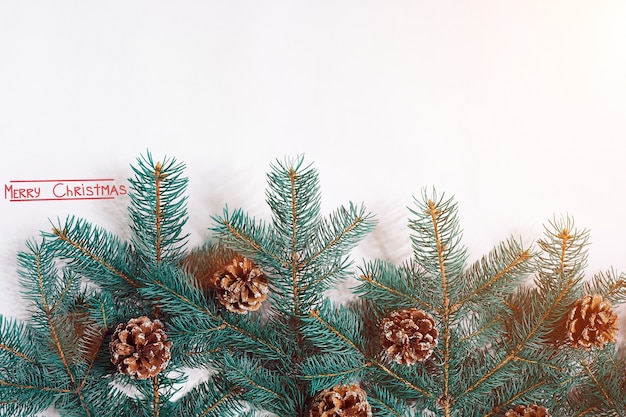 Groene kerstboom spar takken met kegels geïsoleerd op een witte achtergrond zon flare