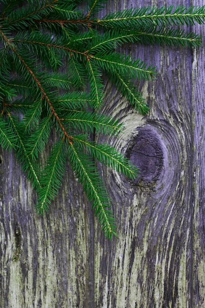 groene kerstboomtakken op de oude houten achtergrond met verticale foto